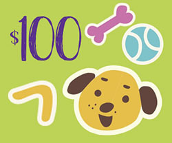 Goody Bag_250x208.jpg